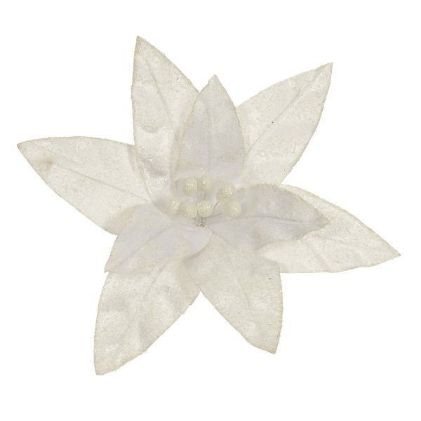 Χριστουγεννιάτικο Λουλούδι Αλεξανδρινό Λευκό (30cm)